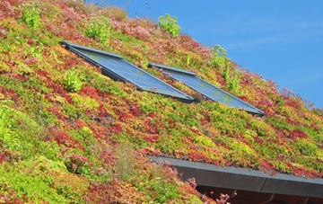 Johnby living roof systems